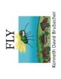 Fly - Preview