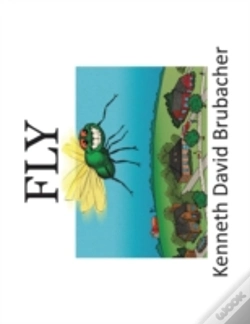 Capa do artigo Fly