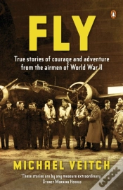 Capa do artigo Fly