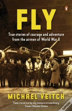Capa do artigo Fly
