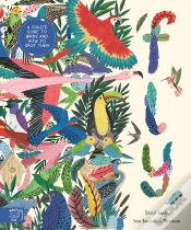 Capa do artigo Fly