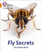 Fly Secrets - Preview