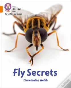 Capa do artigo Fly Secrets