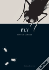 Capa do artigo Fly