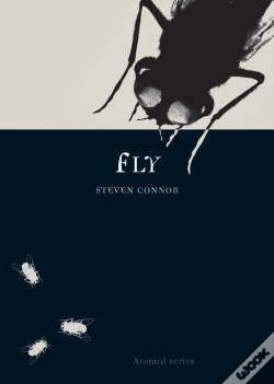 Capa do artigo Fly