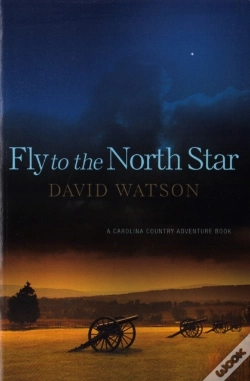 Capa do artigo Fly To The North Star