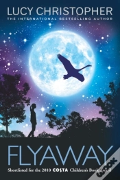Capa do artigo Flyaway
