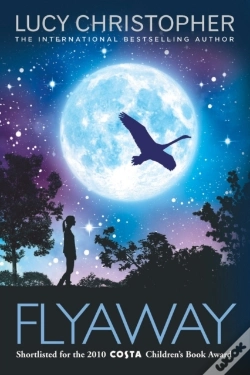 Capa do artigo Flyaway