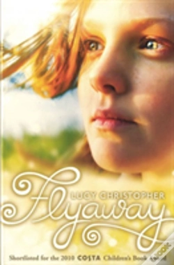 Capa do artigo Flyaway