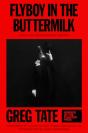 Flyboy In The Buttermilk - Preview