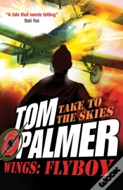 Capa do artigo Flyboy