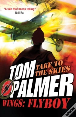 Capa do artigo Flyboy