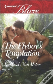 Capa do artigo Flyboy