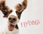 Flydogs - Preview