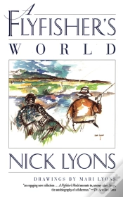 Capa do artigo Flyfisher