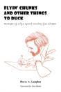 Flyin' Chunks And Other Things To Duck - Preview