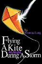 Flying A Kite At Night During A Storm - Preview