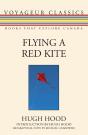 Flying A Red Kite - Preview