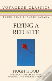 Flying A Red Kite