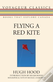 Capa do artigo Flying A Red Kite