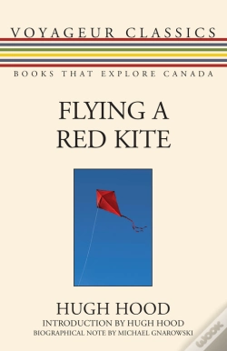 Capa do artigo Flying A Red Kite