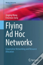 Flying Ad Hoc Networks