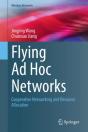 Flying Ad Hoc Networks - Preview