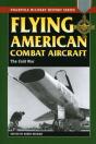 Flying American Combat Aircraft - Preview