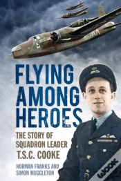 Capa do artigo Flying Among Heroes