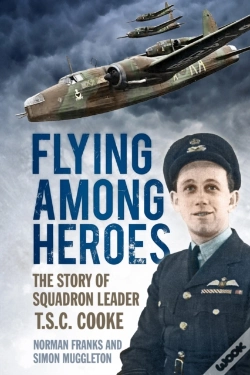 Capa do artigo Flying Among Heroes