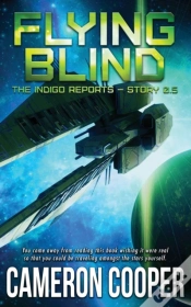 Capa do artigo Flying Blind