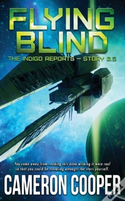 Capa do artigo Flying Blind