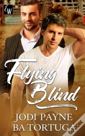 Capa do artigo Flying Blind