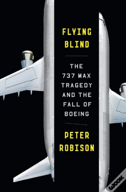 Capa do artigo Flying Blind