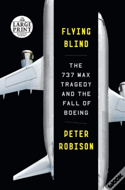 Capa do artigo Flying Blind