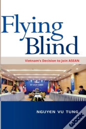 Capa do artigo Flying Blind