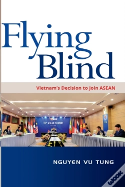 Capa do artigo Flying Blind