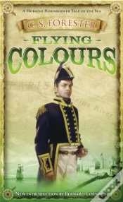 Capa do artigo Flying Colours