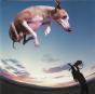 Flying Dog - CD - Preview