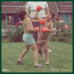 Capa do artigo Flying Dream 1 - Vinil