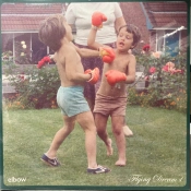 Capa do artigo Flying Dream 1 - Vinil