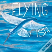Capa do artigo Flying Fish