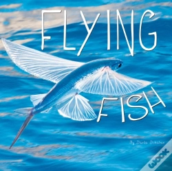 Capa do artigo Flying Fish