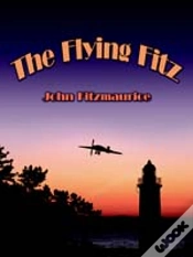 Capa do artigo Flying Fitz