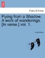 Flying From A Shadow. A Work Of Wanderin - Preview