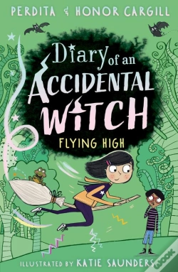 Capa do artigo Flying High