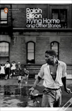 Capa do artigo Flying Home And Other Stories