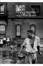 Flying Home And Other Stories - Preview