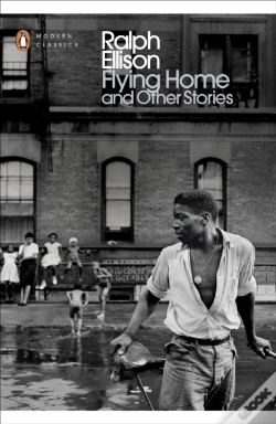 Capa do artigo Flying Home And Other Stories