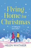 Flying Home For Christmas